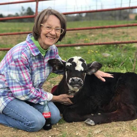 Meet your Posher, Linda - Picture 1 of 1